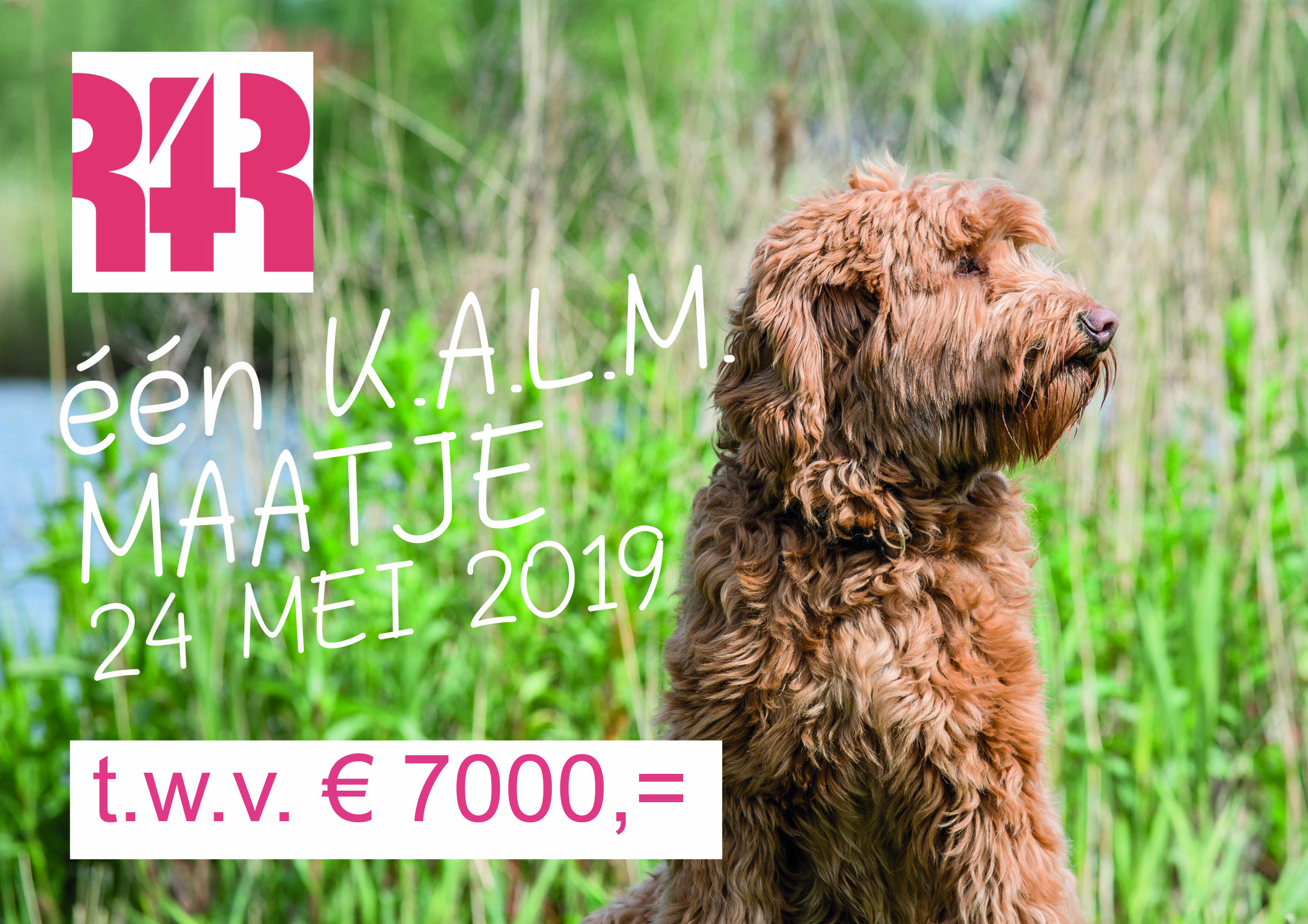 R4R schenkt K.A.L.M.-maatje